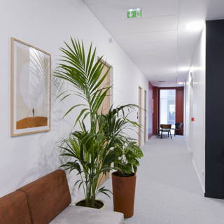 Bureau privé 29 m² 8 postes Coworking Rue Amédée Saint-Germain Bordeaux 33800 - photo 8
